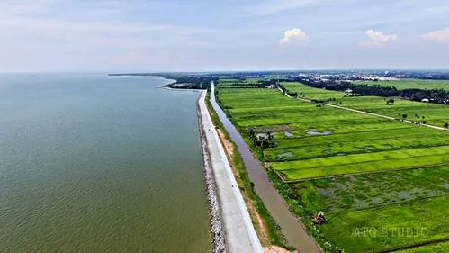 角头稻田与海岸线仅一路之隔的实景航拍