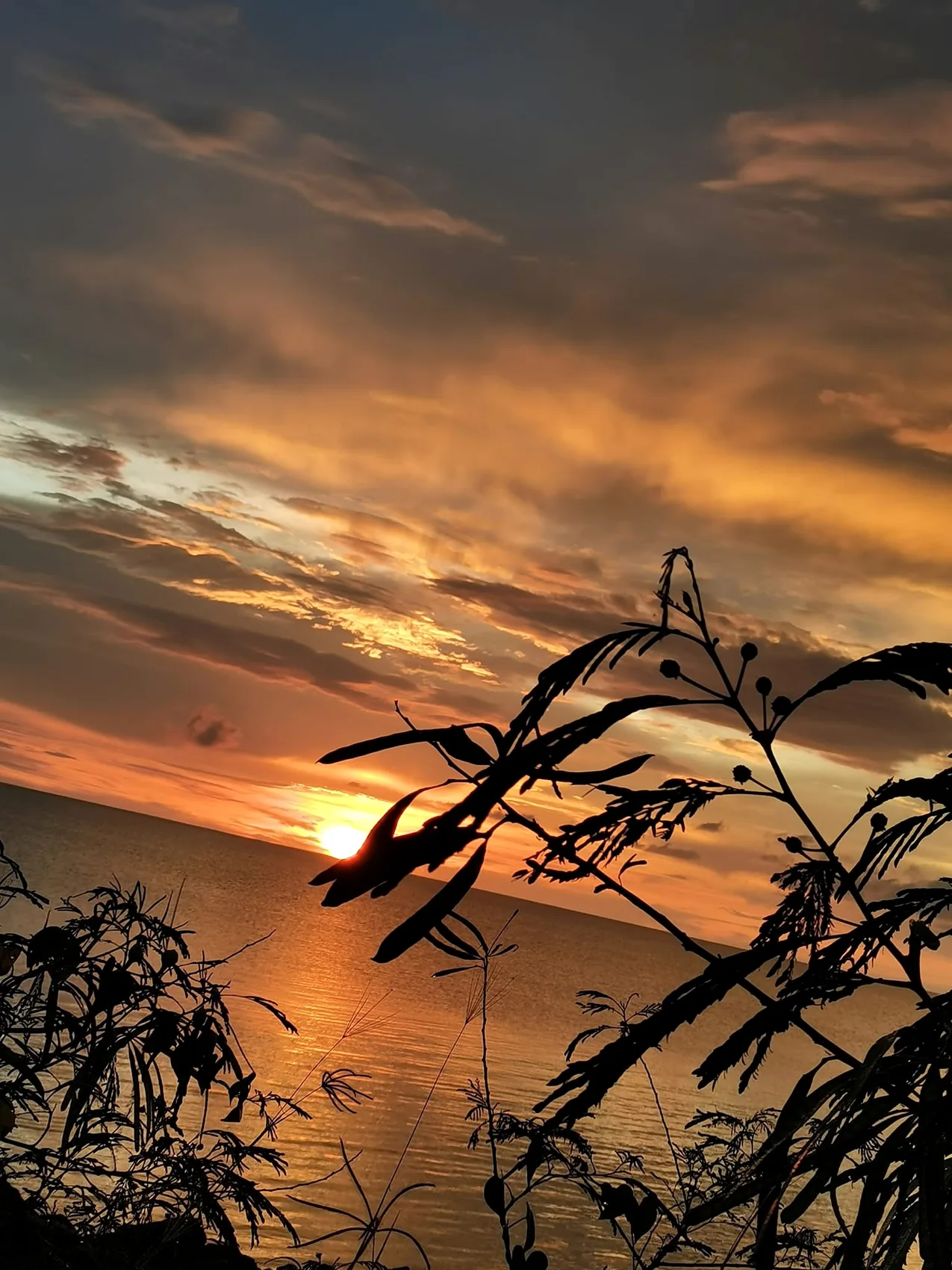 夕阳下的角头海边